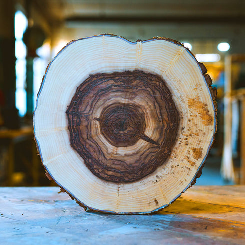 "Silver Willow 41" Tree Print - White Paper