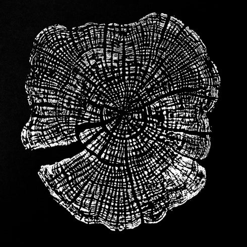 "Apple 44" Tree Print - Black Paper