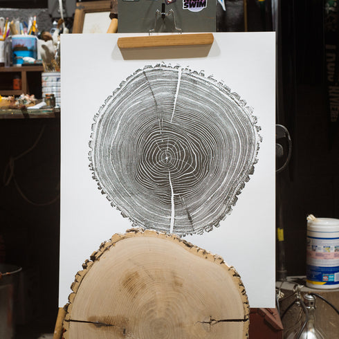 "Ash 81" Tree Print - White Paper