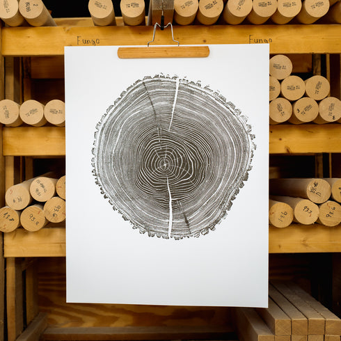 "Ash 81" Tree Print - White Paper