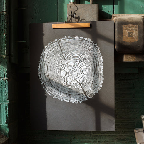 "Ash 81" Tree Print - Black Paper