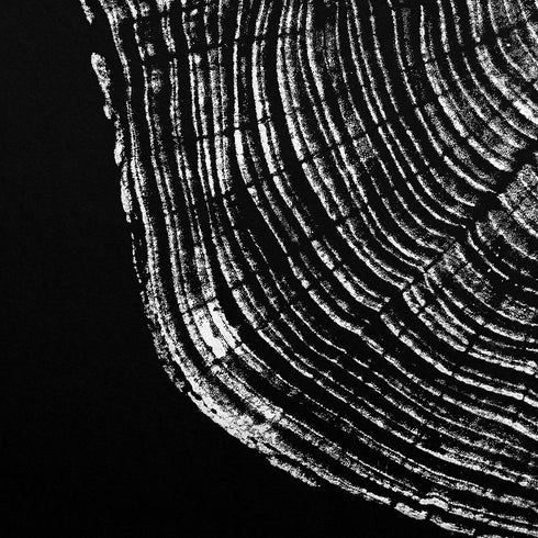 "Cedar 44" Tree Print - Black Paper