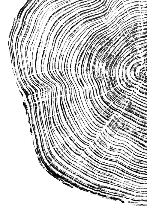"Cedar 44" Tree Print - White Paper