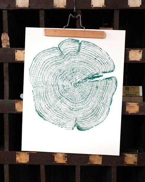 { Green } "Cedar 44" Tree Print - Woodcut Print