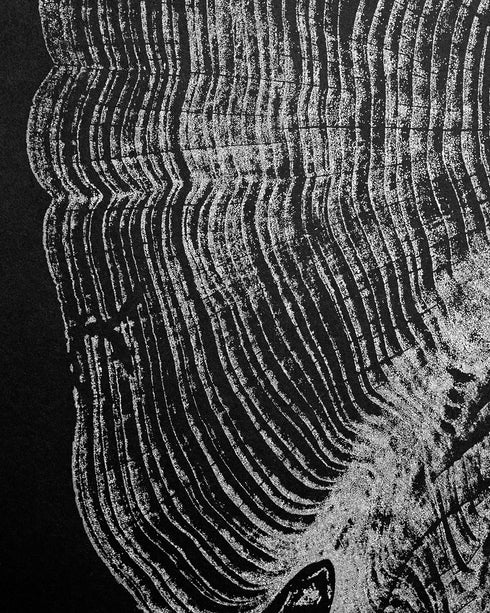 "Cedar 46" Tree Print - Black Paper