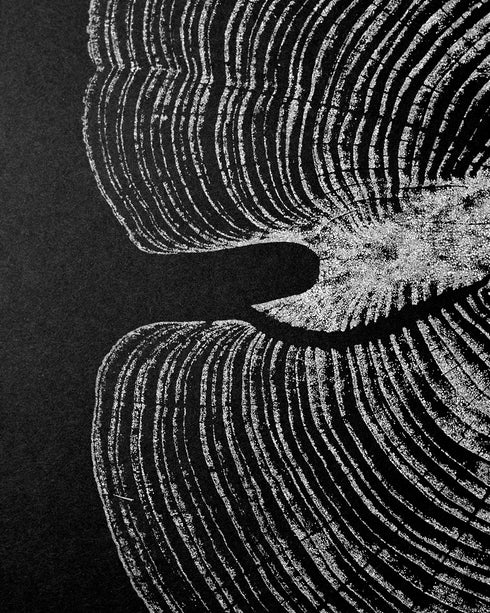 "Cedar 46" Tree Print - Black Paper
