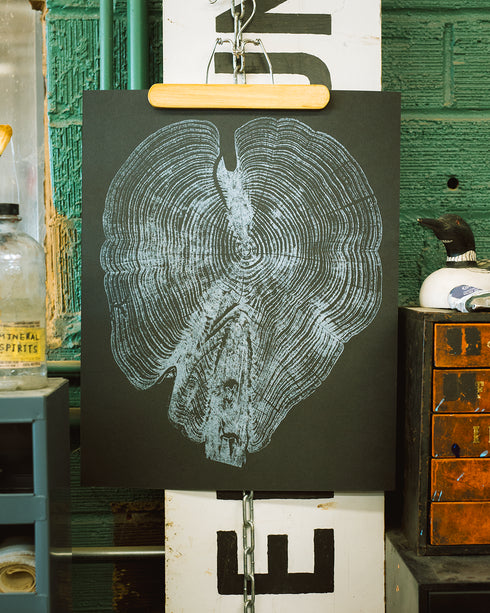 "Cedar 46" Tree Print - Black Paper