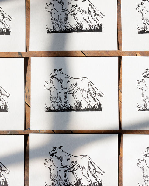 "Dog Days are Over" Block Print - Vintage Letterpress Plate