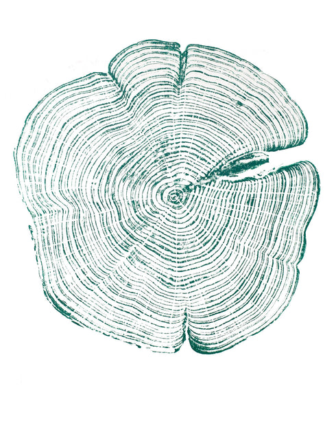 { Green } "Cedar 44" Tree Print - Woodcut Print