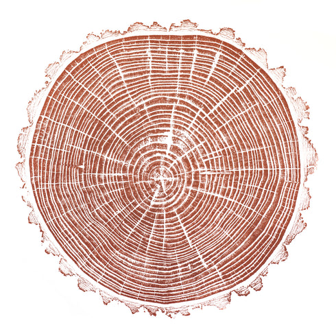 { Burnt Sienna } "American Elm" Tree Print - Woodcut Print