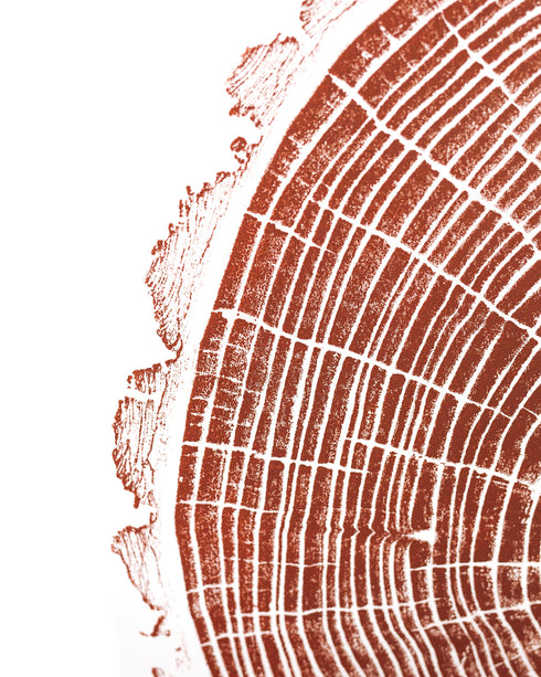 { Burnt Sienna } "American Elm" Tree Print - Woodcut Print