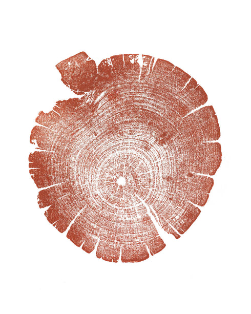 { Burnt Sienna } "Bristlecone Pine" Tree Print - Woodcut Print
