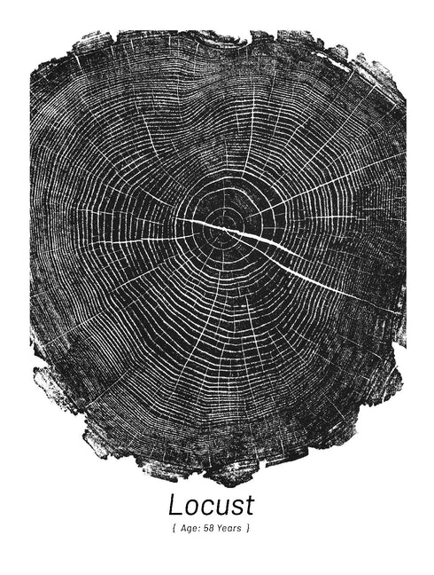 "Locust 58" - Small 8" x 10" - Screen Print