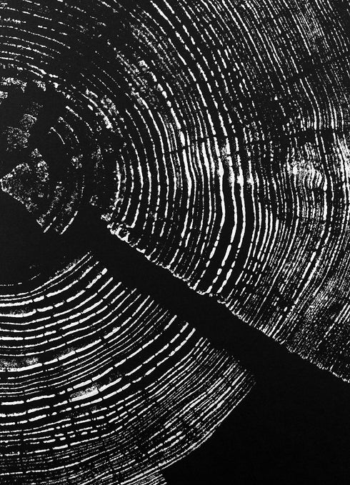 "Pine 121” Tree Print - Black Paper