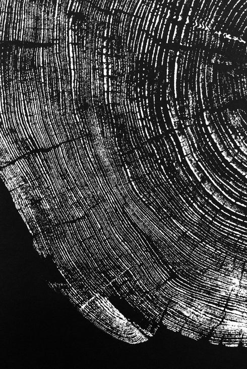 "Pine 121” Tree Print - Black Paper