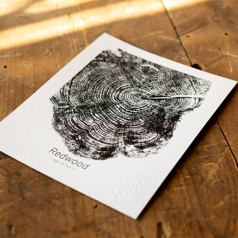 "Redwood 52" - Small 8" x 10" - Screen Print