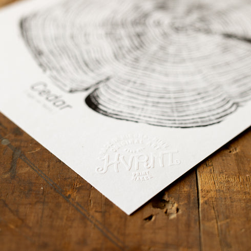 "Cedar 44" - Small 8" x 10" - Screen Print