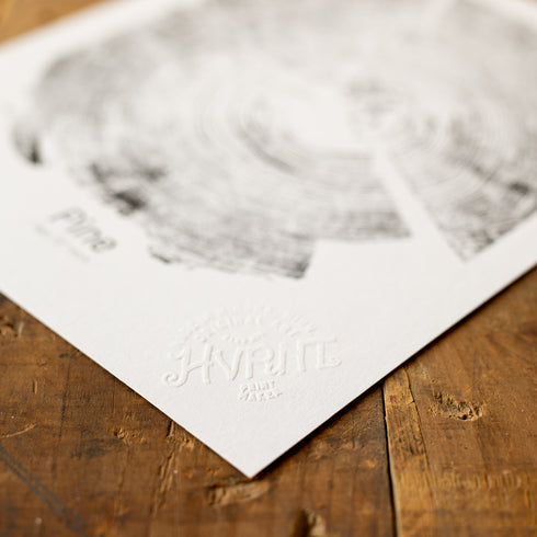 "Pine 121" - Small 8" x 10" - Screen Print