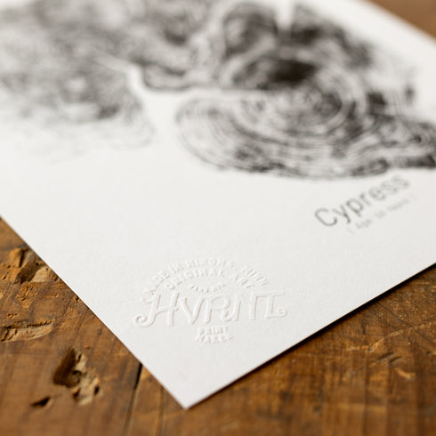 "Cypress 56" - Small 8" x 10" - Screen Print