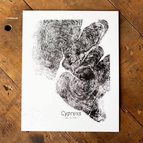 "Cypress 56" - Small 8" x 10" - Screen Print