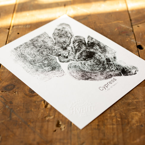 "Cypress 56" - Small 8" x 10" - Screen Print