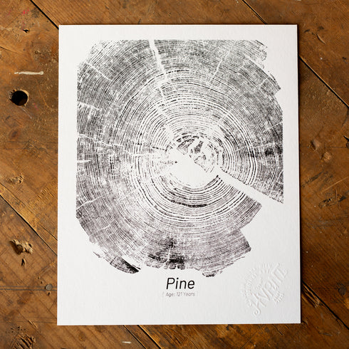 "Pine 121" - Small 8" x 10" - Screen Print