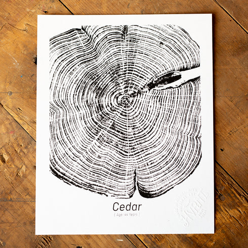 "Cedar 44" - Small 8" x 10" - Screen Print