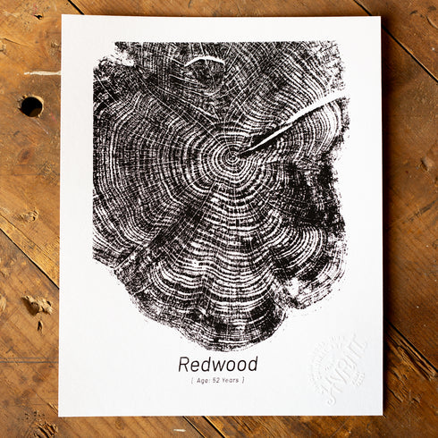 "Redwood 52" - Small 8" x 10" - Screen Print