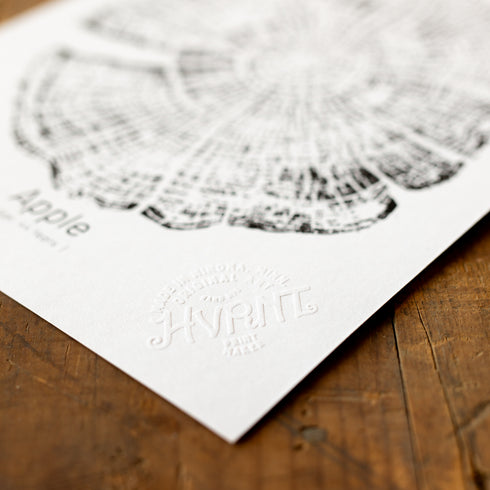 "Apple 44" - Small 8" x 10" - Screen Print