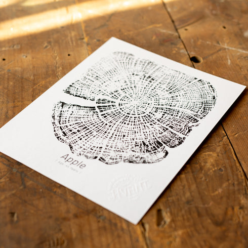 "Apple 44" - Small 8" x 10" - Screen Print