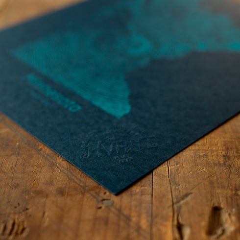 "Minnesota White Pine" - Navy/Blue - Small 8" x 10" - Screen Print