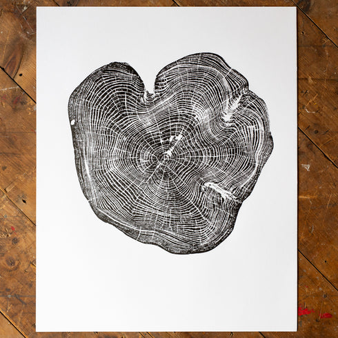 "Locust 55" Tree Print - White Paper