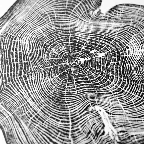 "Locust 55" Tree Print - White Paper