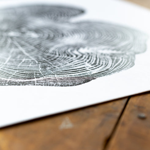 "Locust 55" Tree Print - White Paper