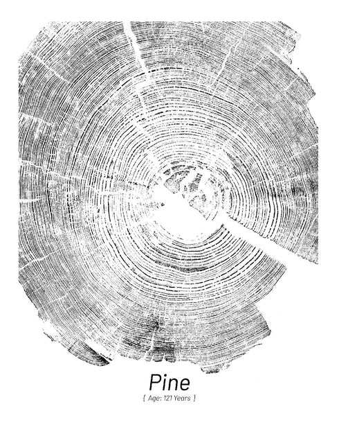 "Pine 121" - Small 8" x 10" - Screen Print