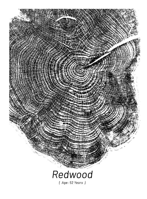 "Redwood 52" - Small 8" x 10" - Screen Print