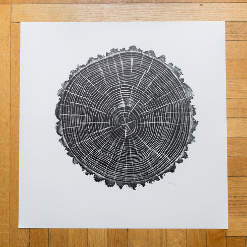 "American Elm" Tree Print - Woodcut Print