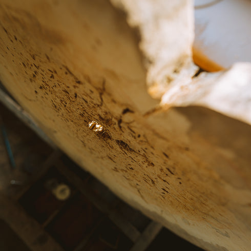 "Box Elder" Tree Print - White Paper