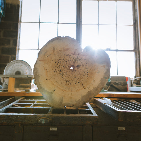 "Box Elder" Tree Print - White Paper