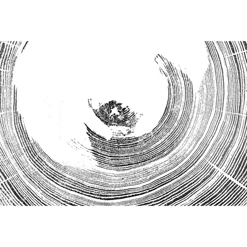 "Heart Rot Elm" Tree Print - White Paper