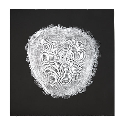 "Black Locust 58" Tree Print - Black Paper