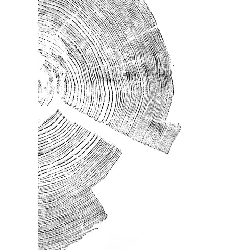 "Pine 121” Tree Print - White Paper