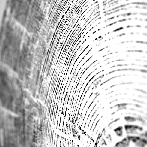 "Pine 121” Tree Print - White Paper