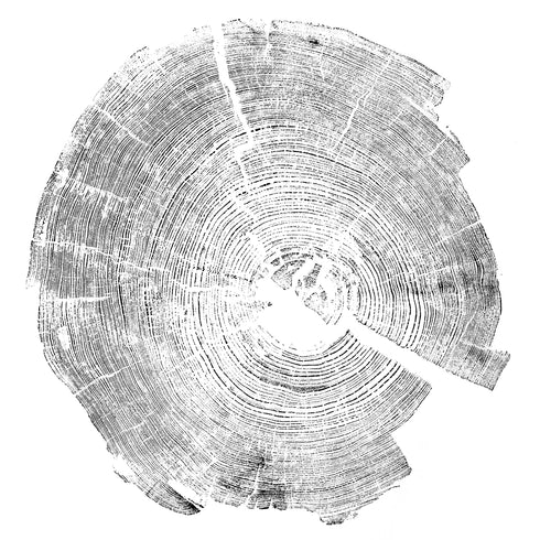 "Pine 121” Tree Print - White Paper