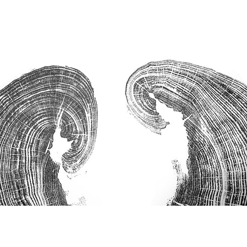 "Poplar" Tree Print - White Paper