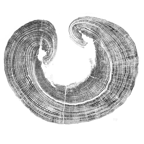 "Poplar" Tree Print - White Paper