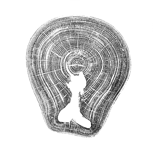 "Sycamore" Tree Print - White Paper