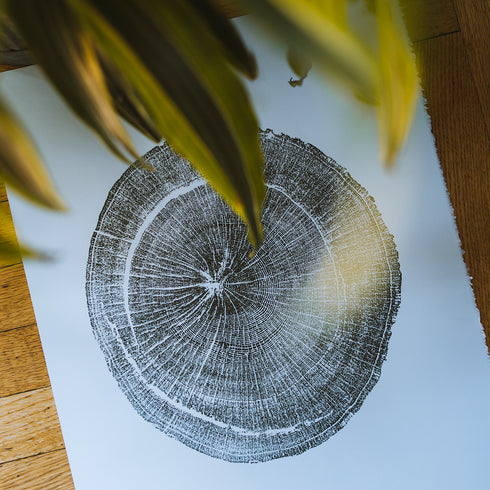 "White Oak" Tree Print - White Paper