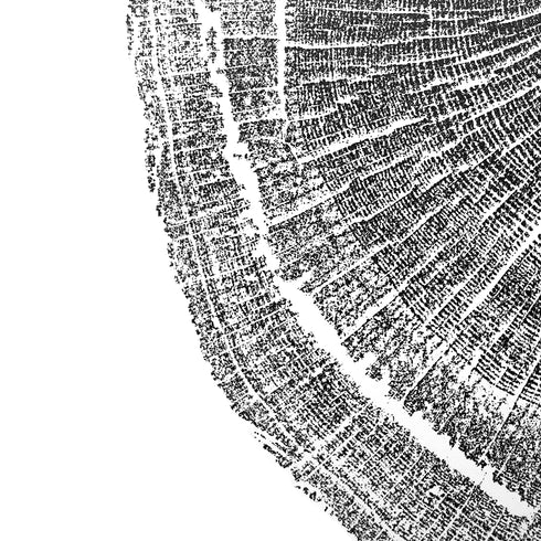 "White Oak" Tree Print - White Paper