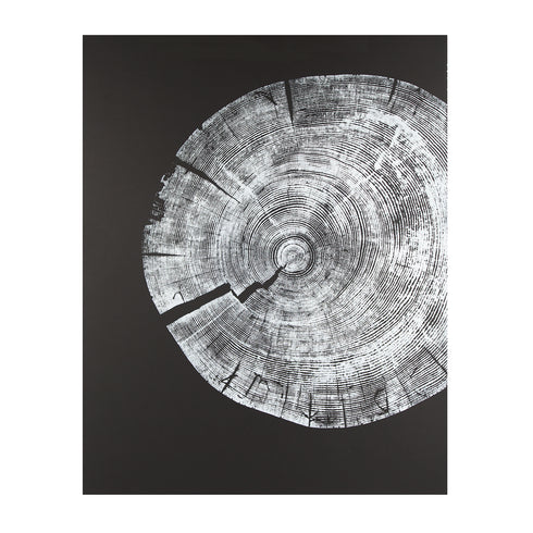 "White Pine" Tree Print - (Fragment on black paper)